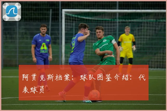 阿贾克斯档案：球队图鉴介绍：代表球员
