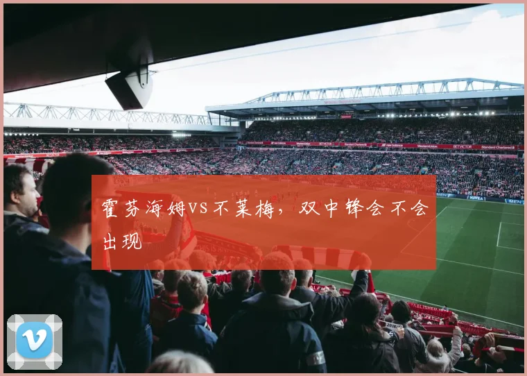 霍芬海姆vs不莱梅,双中锋会不会出现
